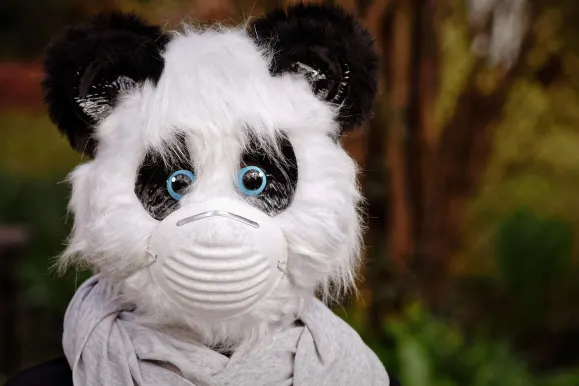 HeySpin Kasyno Wsparcie